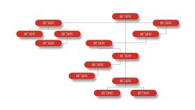 深红组织结构PPT图表-11