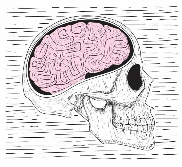矢量手绘头骨