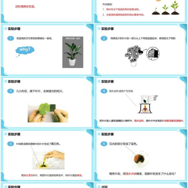 人教版七年级生物上册绿色植物是生物圈中有机物的制造者课件PPT模板 人教版七年级生物上册绿色植物是生物圈中有机物的制造者课件PPT模板