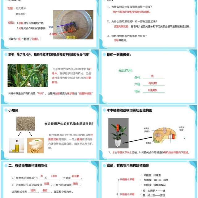 人教版七年级生物上册绿色植物是生物圈中有机物的制造者课件PPT模板 人教版七年级生物上册绿色植物是生物圈中有机物的制造者课件PPT模板