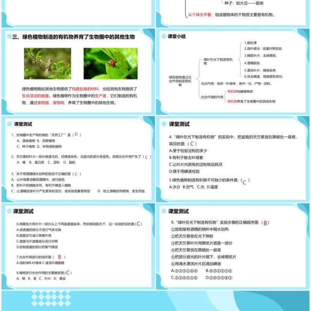 人教版七年级生物上册绿色植物是生物圈中有机物的制造者课件PPT模板 人教版七年级生物上册绿色植物是生物圈中有机物的制造者课件PPT模板