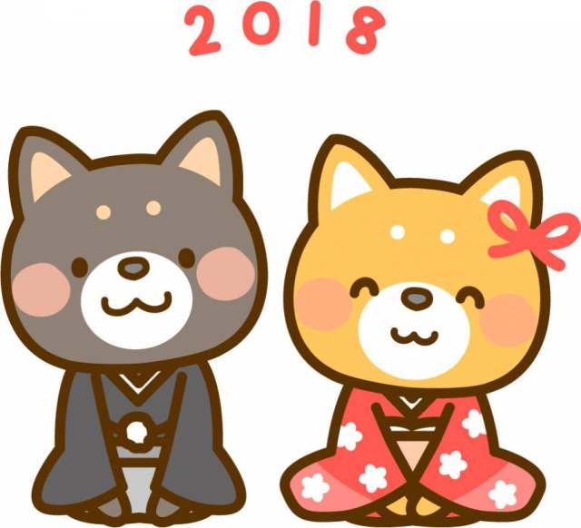 穿着和服的芝犬夫妇