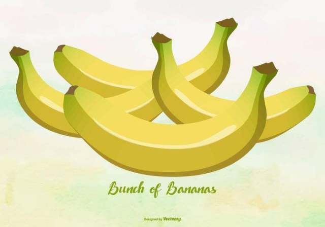 黄色的香蕉/大蕉的插图