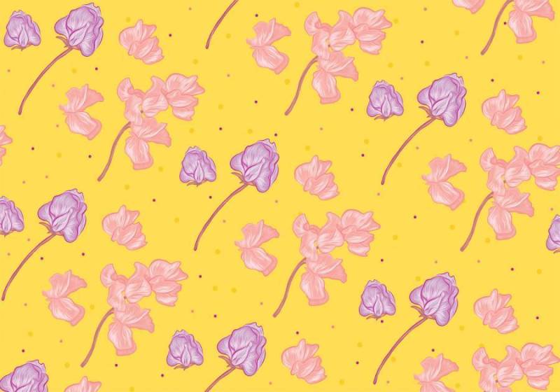 甜豌豆矢量设计