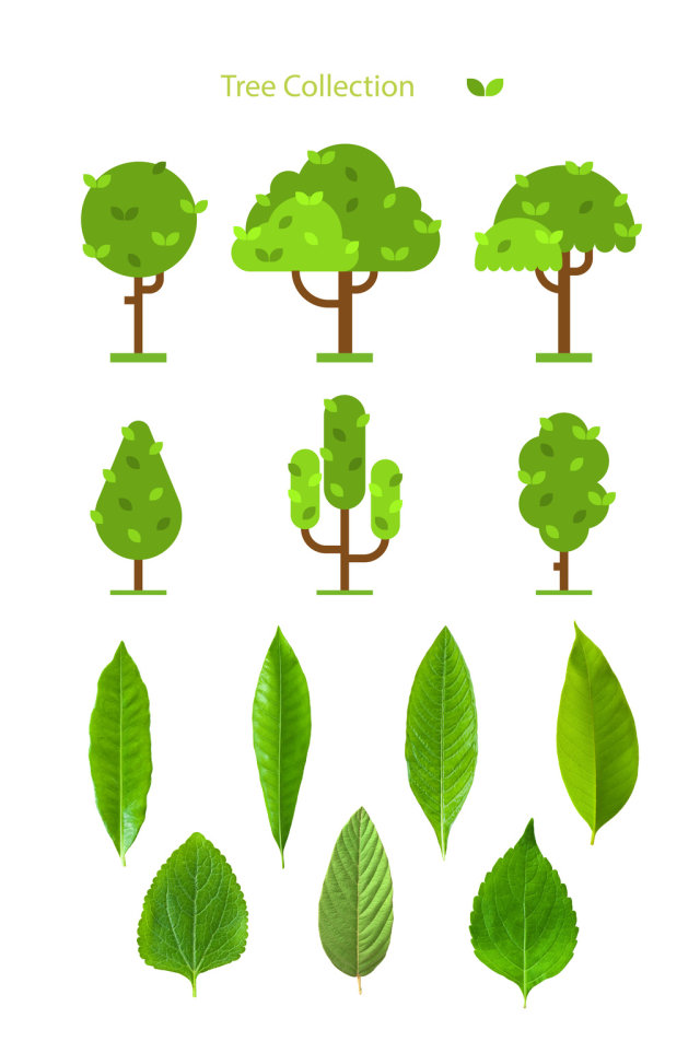 植树节树叶矢量图像 植树节树叶矢量图像