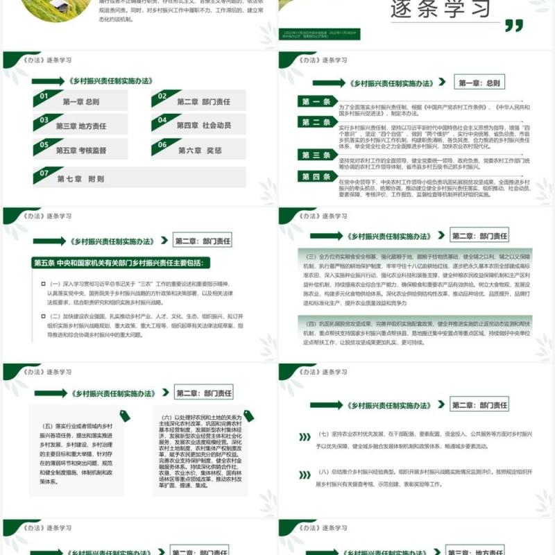 绿色简约风乡村振兴责任制实施办法PPT模板