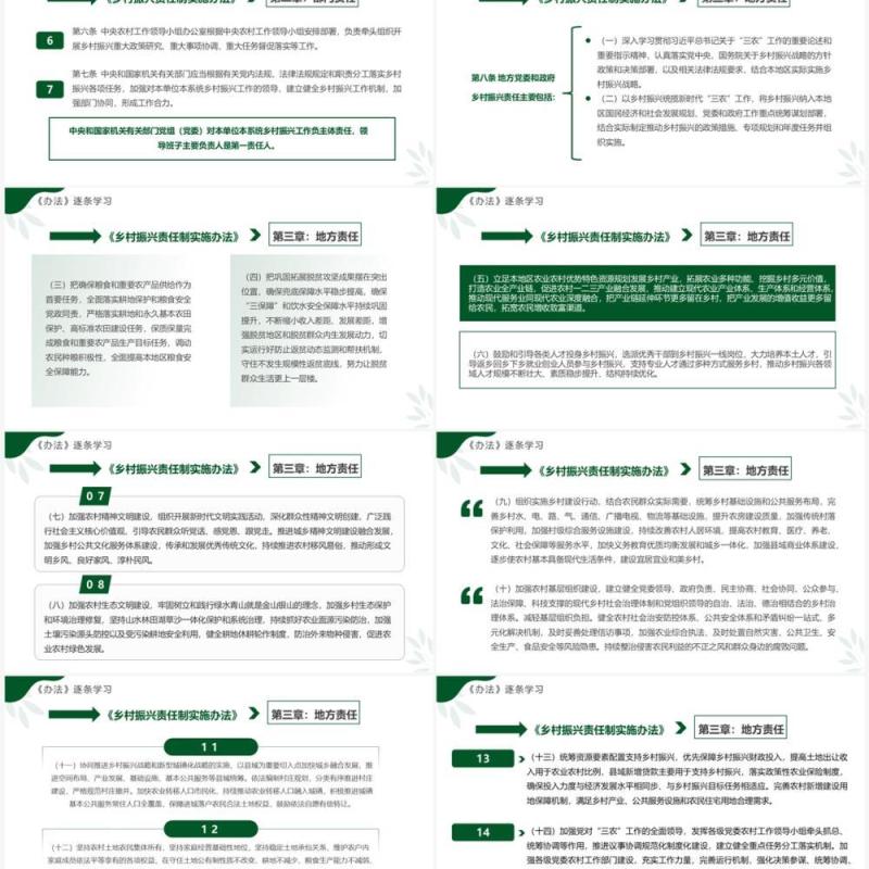 绿色简约风乡村振兴责任制实施办法PPT模板