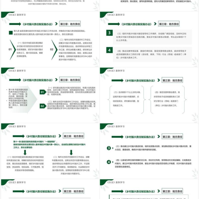 绿色简约风乡村振兴责任制实施办法PPT模板