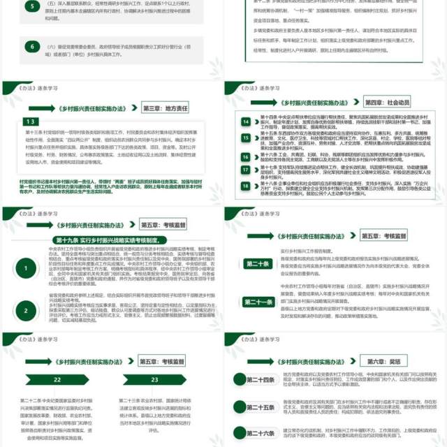 绿色简约风乡村振兴责任制实施办法PPT模板