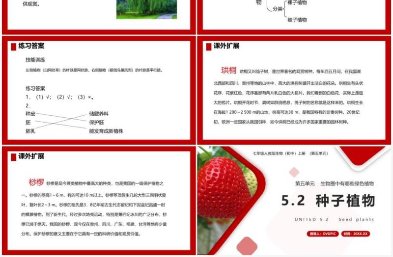 部编版七年级生物上册种子植物课件PPT模板