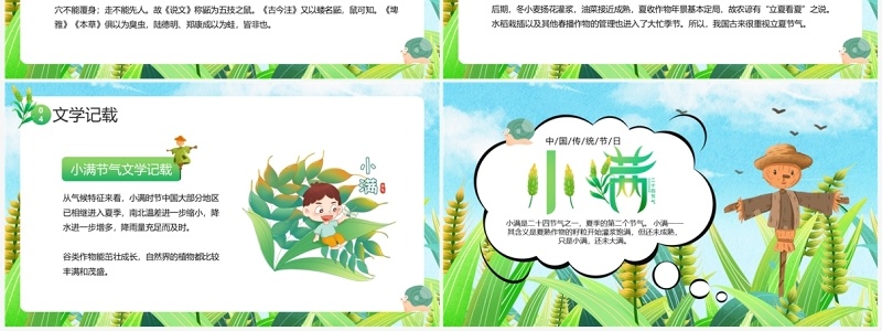 绿色插画风二十四节气之小满PPT模板