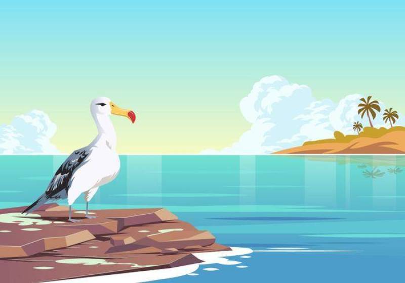 在水传染媒介的信天翁