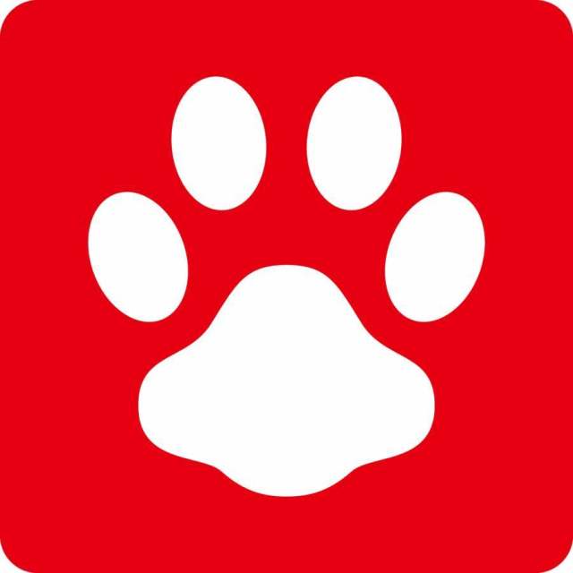 狗_阿什塔_汉科风格_广场