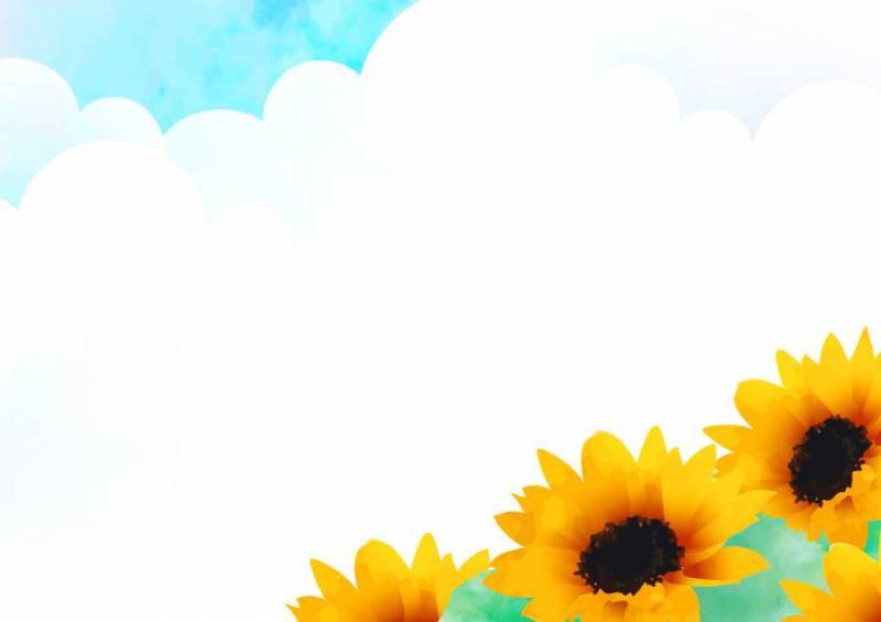 夏天的天空和向日葵的框架