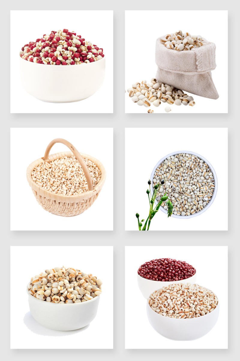 产品实物薏米设计素材