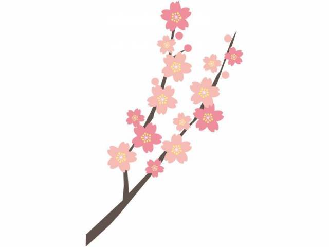 桜