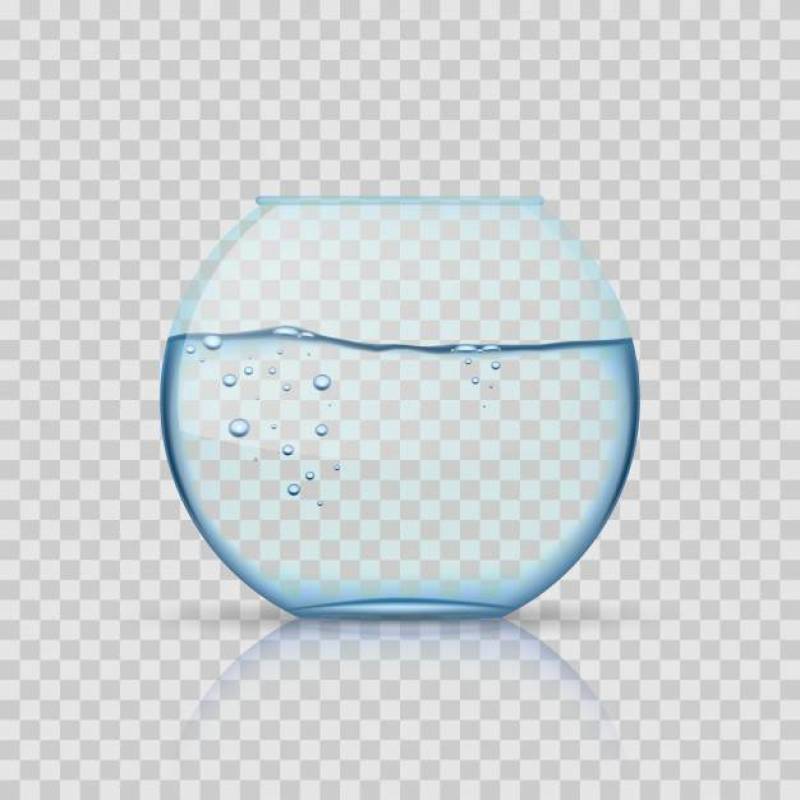现实玻璃fishbowl