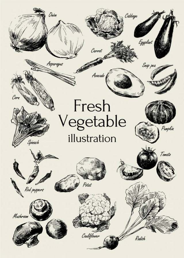 新鲜蔬菜的插图