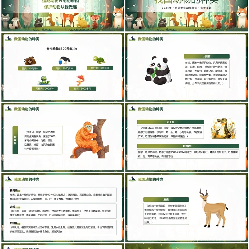 绿色插画风世界野生动植物日主题班会PPT模板