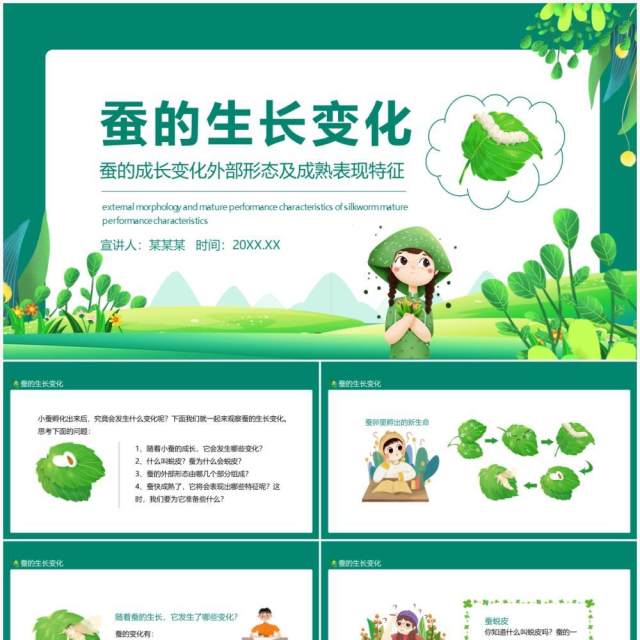 蚕的成长变化外部形态及成熟表现特征动态PPT模板 蚕的成长变化外部形态及成熟表现特征动态PPT模板