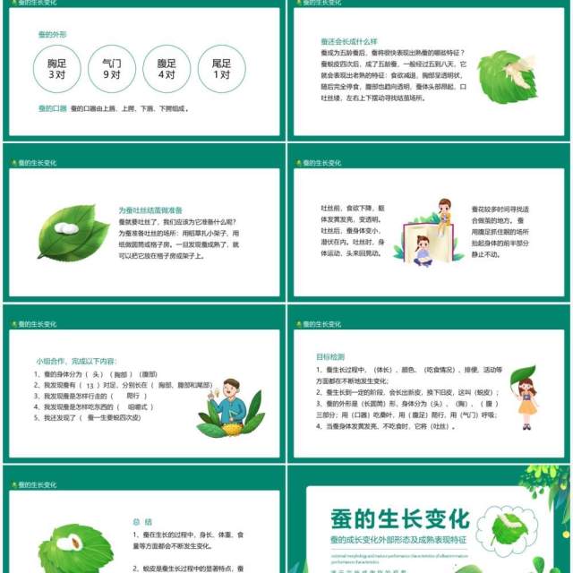 蚕的成长变化外部形态及成熟表现特征动态PPT模板 蚕的成长变化外部形态及成熟表现特征动态PPT模板