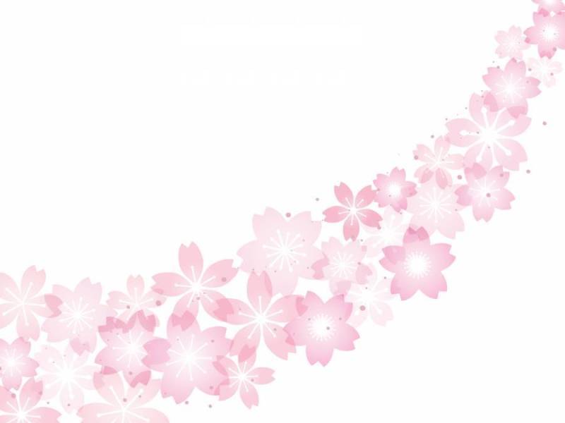 樱花图像015