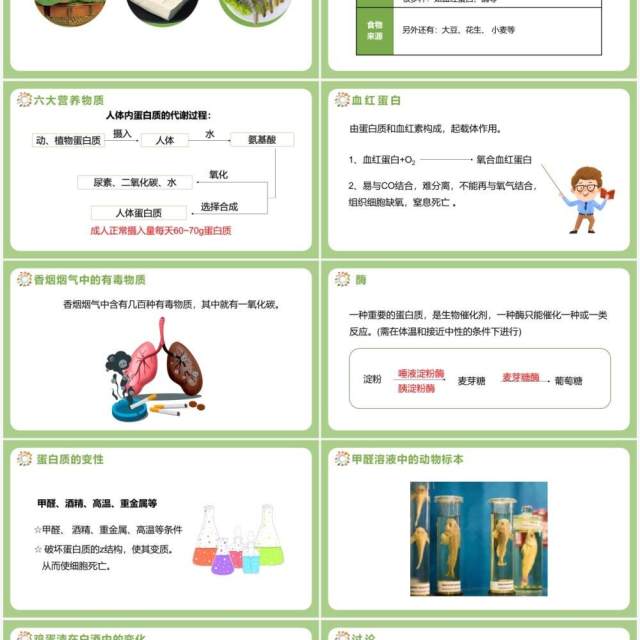 部编版九年级化学下册人类重要的营养物质课件PPT模板 部编版九年级化学下册人类重要的营养物质课件PPT模板