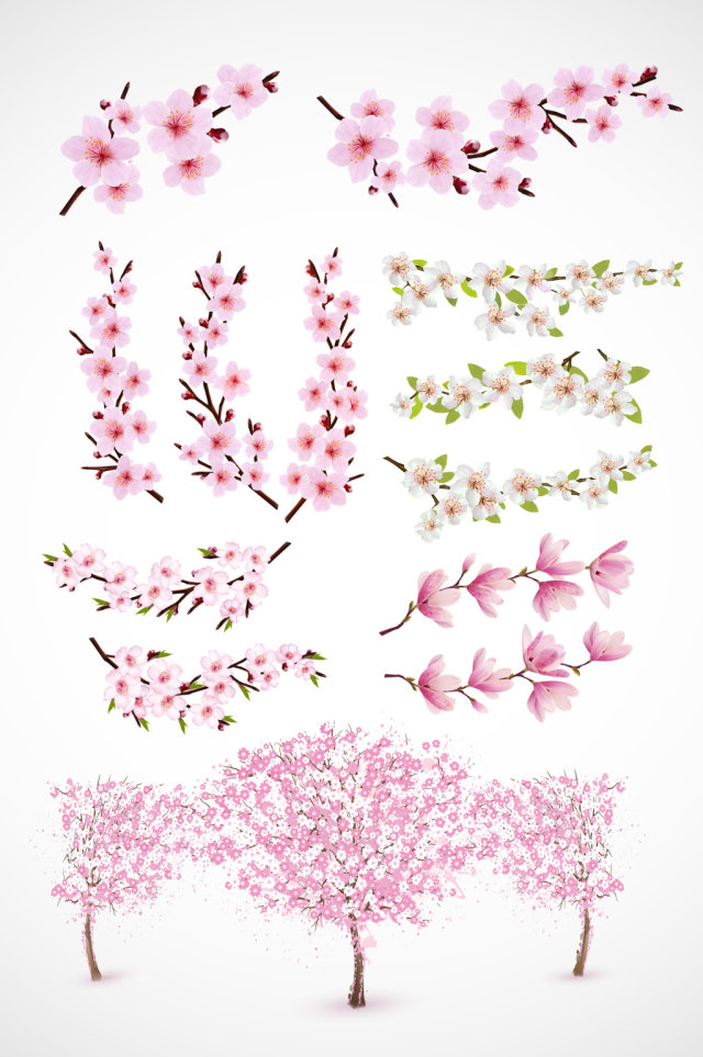 美丽樱花枝条矢量素材 美丽樱花枝条矢量素材