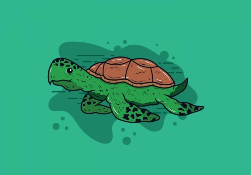 海龟矢量