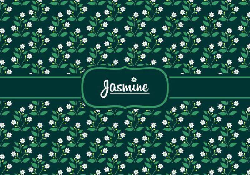 茉莉花图案 矢量