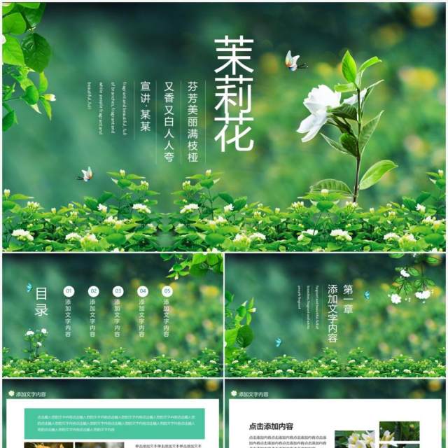 茉莉花芬芳美丽满枝桠又香又白人人夸动态PPT模板 茉莉花芬芳美丽满枝桠又香又白人人夸动态PPT模板