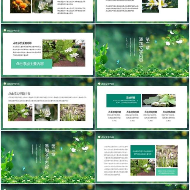 茉莉花芬芳美丽满枝桠又香又白人人夸动态PPT模板 茉莉花芬芳美丽满枝桠又香又白人人夸动态PPT模板