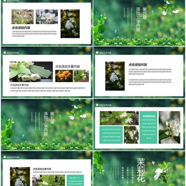 茉莉花芬芳美丽满枝桠又香又白人人夸动态PPT模板 茉莉花芬芳美丽满枝桠又香又白人人夸动态PPT模板
