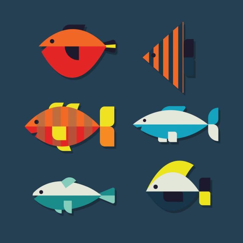 平五颜六色的鱼