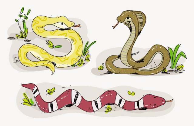 可爱的蛇卡通手绘矢量图