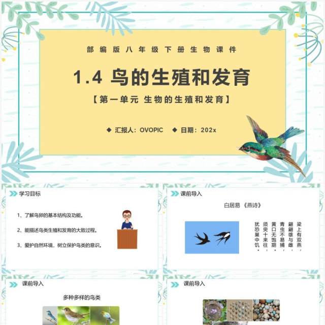 部编版八年级生物下册鸟的生殖和发育课件PPT模板 部编版八年级生物下册鸟的生殖和发育课件PPT模板