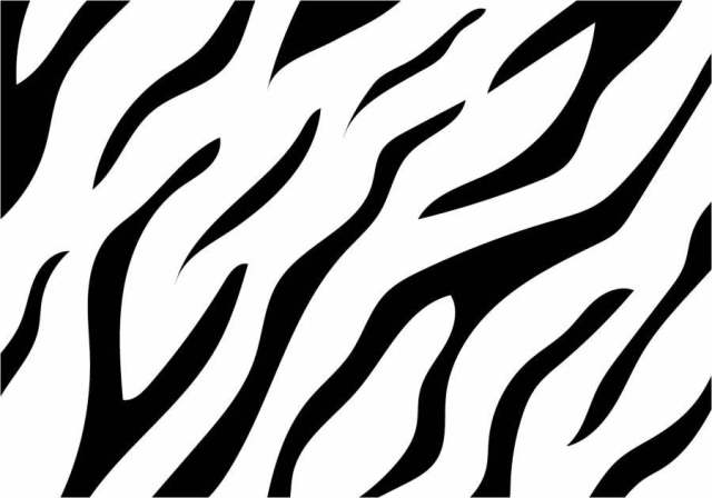 老虎条纹图案