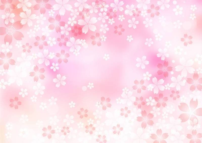 樱花_粉红色的背景