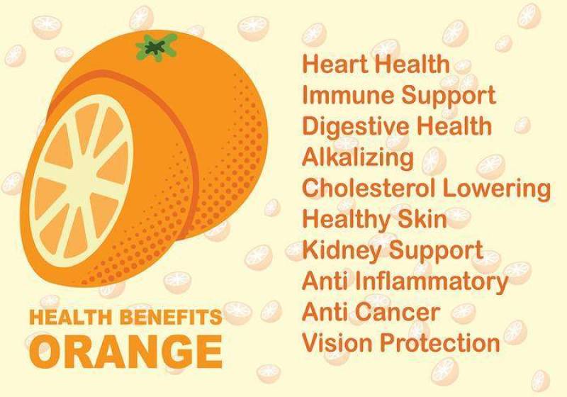 橙色水果健康益处矢量