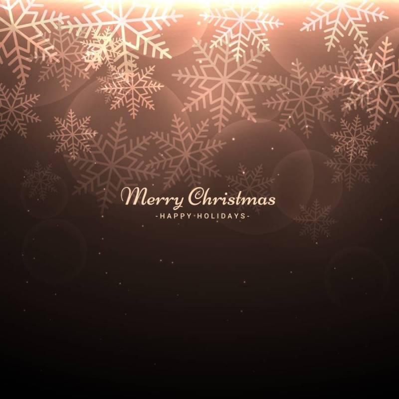 美丽的圣诞背景