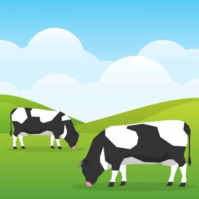 母牛在自然背景例证的一个好晴天领域吃草
