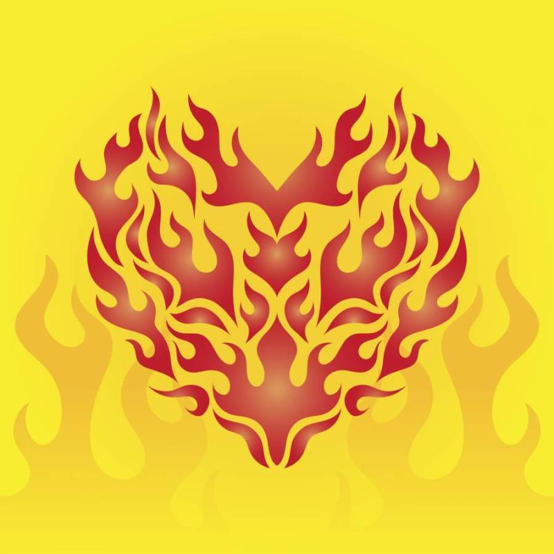 由火焰传染媒介的心脏