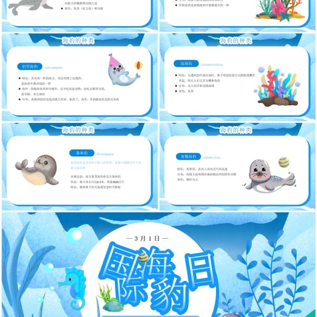 蓝色卡通风国际海豹日PPT模板 蓝色卡通风国际海豹日PPT模板