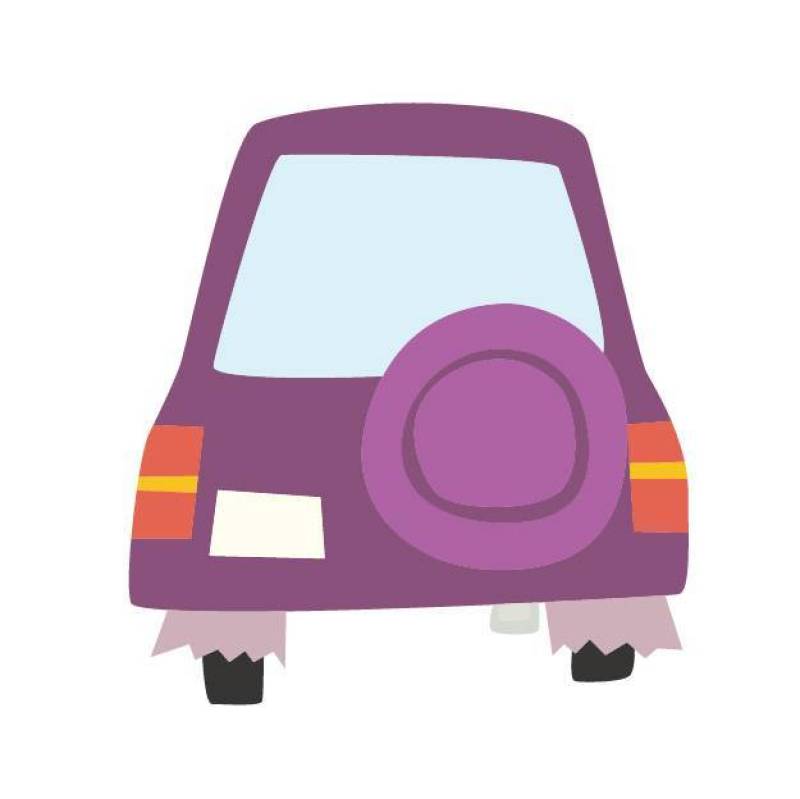 紫色的车回来