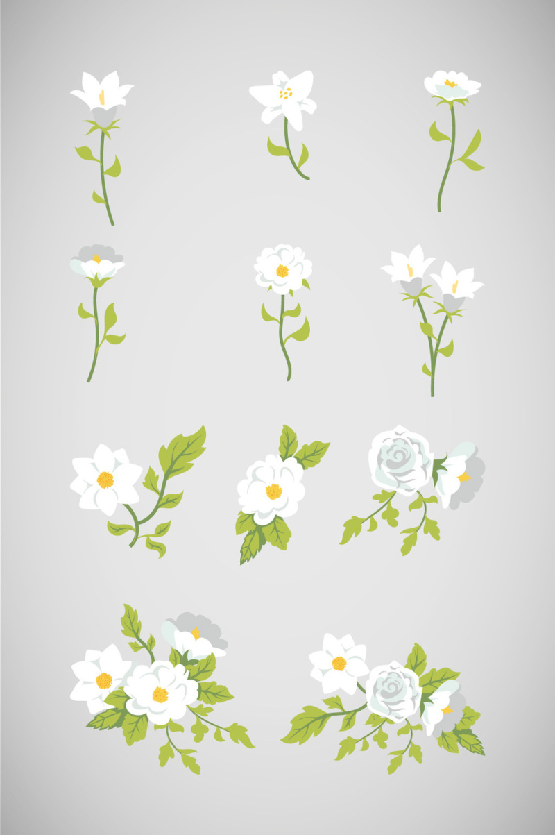矢量白色花朵素材