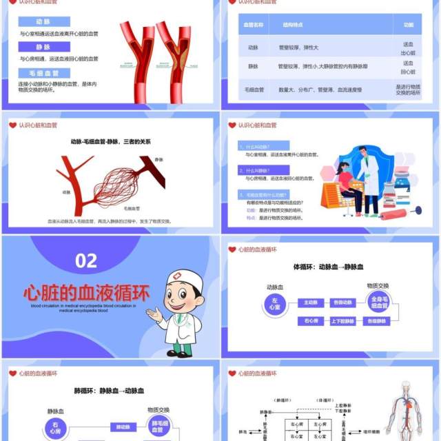 医学百科之血液循环知识讲座通用PPT模板