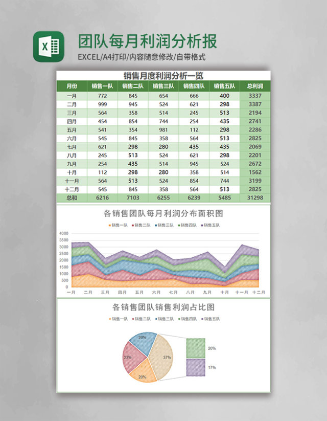 实用团队每月利润分析报表excel模板