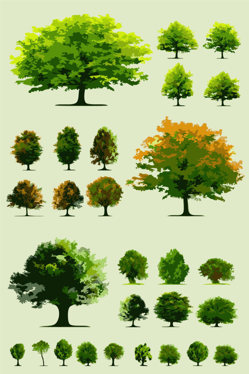矢量树木设计元素