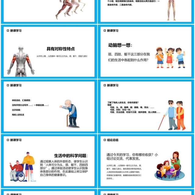 教科版四年级科学上册身体的结构课件PPT模板 教科版四年级科学上册身体的结构课件PPT模板