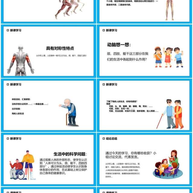 教科版四年级科学上册身体的结构课件PPT模板